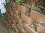 Portulaca cuttings in rockery