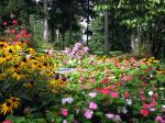 side yard garden