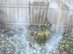 ghost or fog?