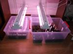 z01 Propagator & Mini Serre