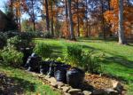 garden clean up garden clean up