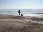 Hubby and Sassy Playing Fetch at the Beach