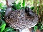 Sweet fountain of mama bird and babies....