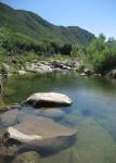 Summer along the Sespe 2009