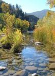 Fall & the Sespe Creek.   And yes, there is trout!