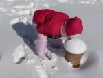 Daughter eating snow out of pot