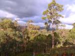 view over back verandah