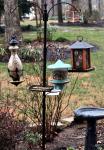 "Bird" feeding station