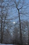 Wolf moon...Jan 30, 2010