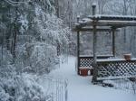 Snow in the garden on March 2, 2009