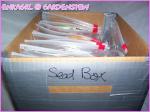 My ghettofied seed box with the labeled baggies. :)