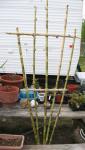 bamboo trellis