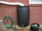 new rain barrel
