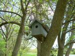 Bird house