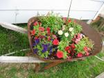 wheelbarrow top