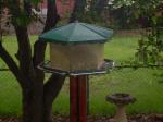 new feeder for our feathered friends