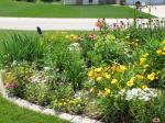 Front yard  flower bed