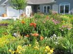 Front yard  flower bed