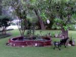 Our fish pond,in front yard,on a rainy day.