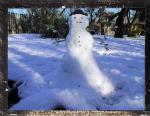 " Texas Snowman "