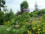 A rock garden outside a forest museum