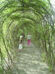 I'd love a tunnel like this too.