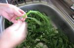 Peeling Kangkung