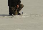 That can of Bush Beer is important to Ice Fishing