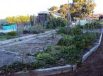 beds and playground area