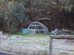 the old chook pens (Moveable)