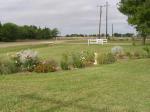 front yard flower bed