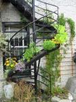 Growing outdoor spiral staircase 1