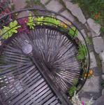 Growing outdoor spiral staircase 3