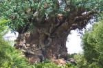 Carved Tree in South Africa 2