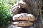 Carved Tree in South Africa 4