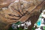 Carved Tree in South Africa 5