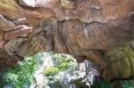 Carved Tree in South Africa 6