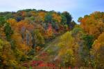 Fall in Tennessee