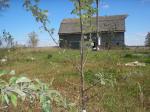 The "Weed Patch" farm