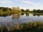 Pond in autumn