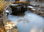 Frozen Pond