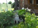 Memory Garden for Family