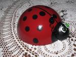 Completed Lady Bug