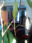 Name?