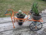 cactus cart