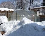 Snowed in greenhouse