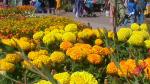 Flower Show 2011 (pic-1)