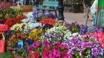 Flower Show 2011 (pic-3)