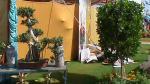 Flower Show 2011 (pic-25) 