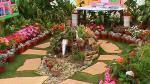 Flower Show 2011 (pic-51) 